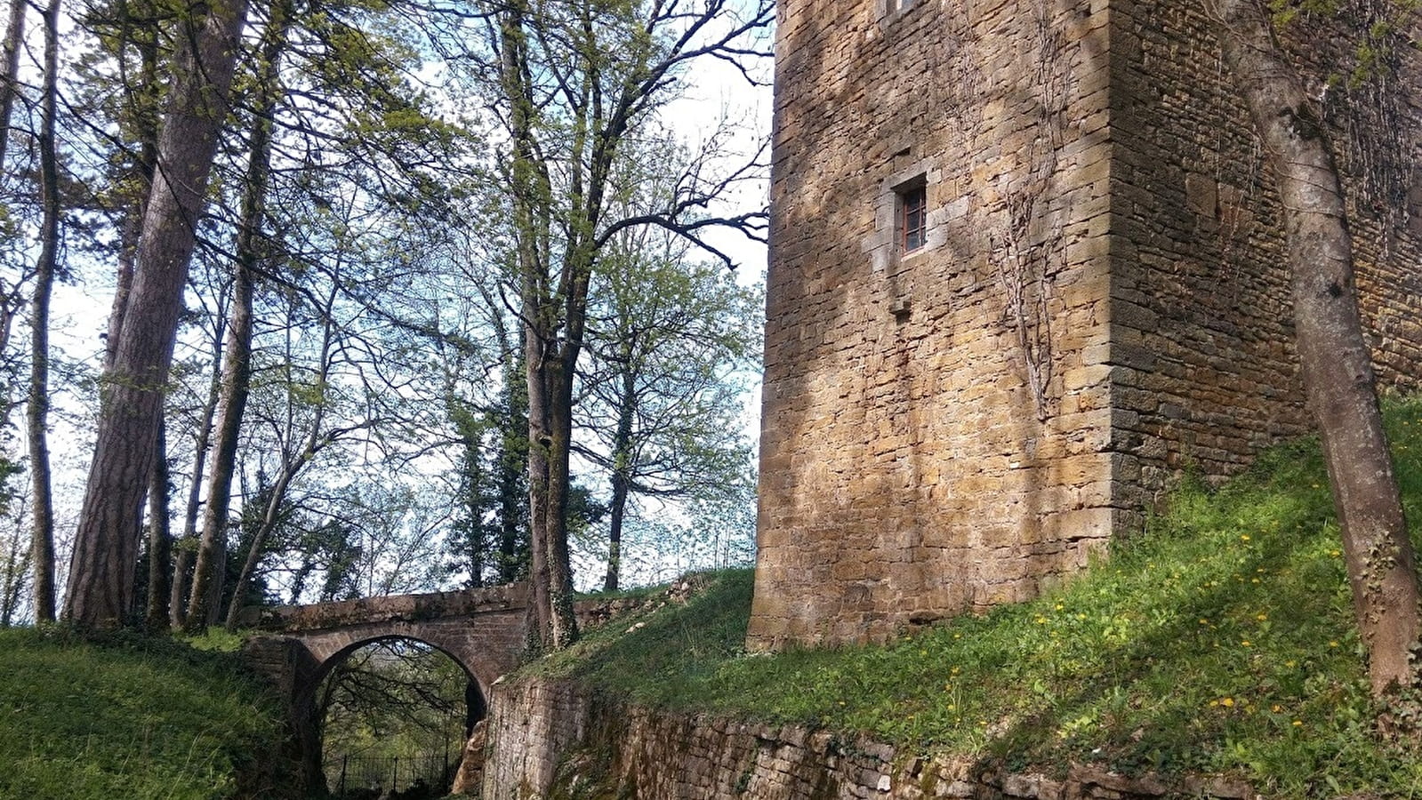L’or jaune du Dieu de Coligny