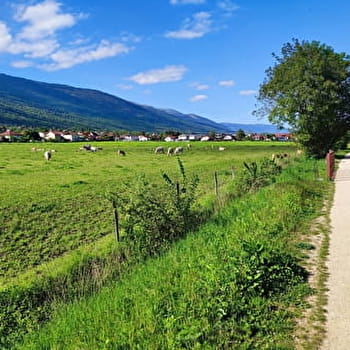 Voie verte de Thoiry - THOIRY