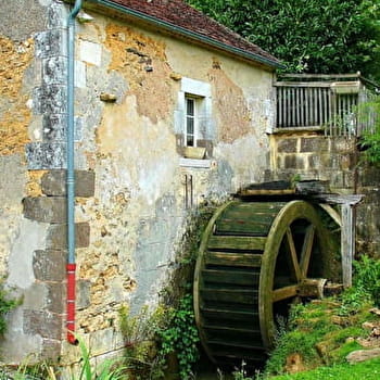 Sentier du moulin de Vanneau - SAINTS-EN-PUISAYE