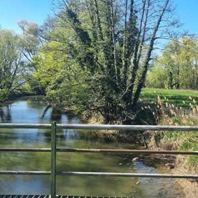 Circuit VTT-VTC n°11 (bleu) - Prairie de Jayat - Chartreuse de Montmerle