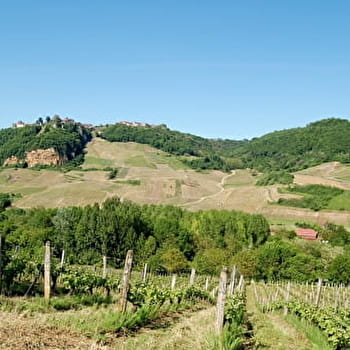 La Seille - 4V - VOITEUR