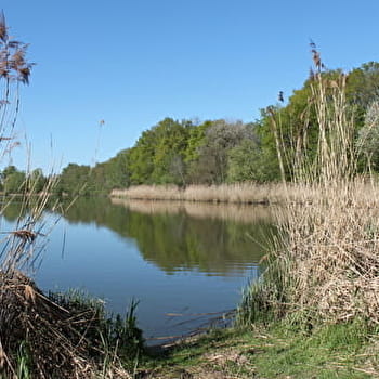 Sur la piste des bandits de grands chemins (boucle ouest) - SAINT-DIDIER-D'AUSSIAT