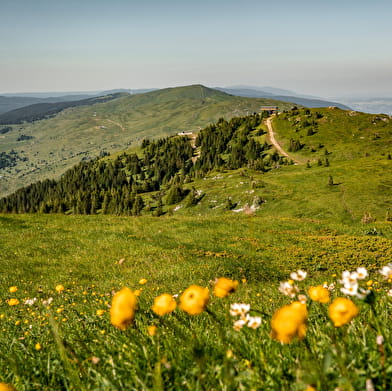 Grande Traversée du Jura à pied : De la Borne au Lion à Culoz