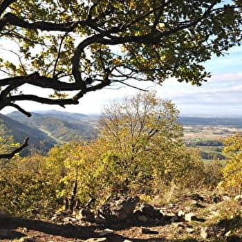 Balade - Chapelle et ruines du château de Montfort - VAL-REVERMONT