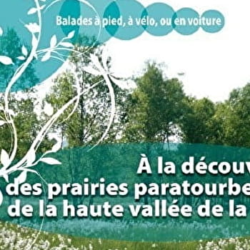 A la découverte des prairies paratourbeuses de la haute vallée de la Cure - MONTSAUCHE-LES-SETTONS