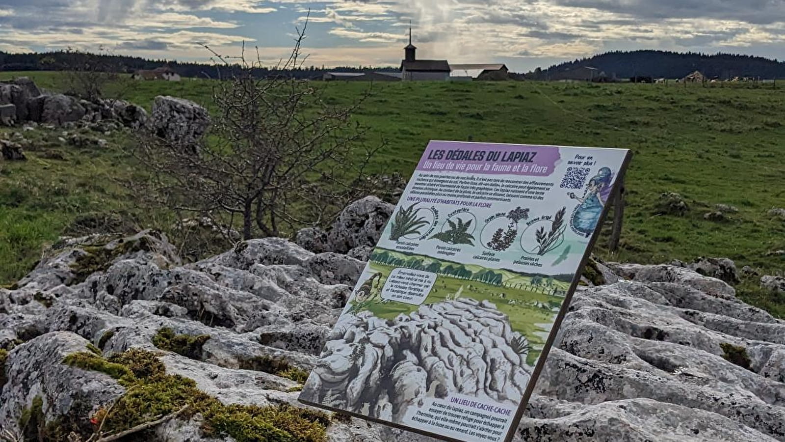 Les Aventures Fankarstiques - Ô Mystère