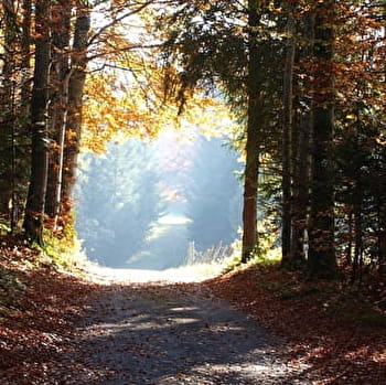 Tour de la Combe David - 68R - LAC-DES-ROUGES-TRUITES