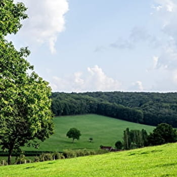 Circuit des Forges - DONZY