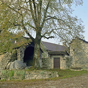 Chemin d'Assise - Etape Veyrin Saint Bois - Saint Maurice de Rotherens - ARBOYS EN BUGEY
