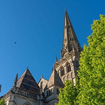 Chemins Pèlerins Vézelay-Autun-Vézelay - AUTUN