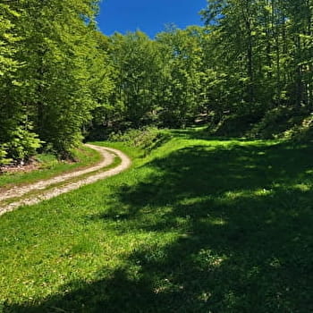 Parcours VTT 13 rouge - Le sud du Plateau de Retord - Espace FFC Ain Forestière - HAUT VALROMEY