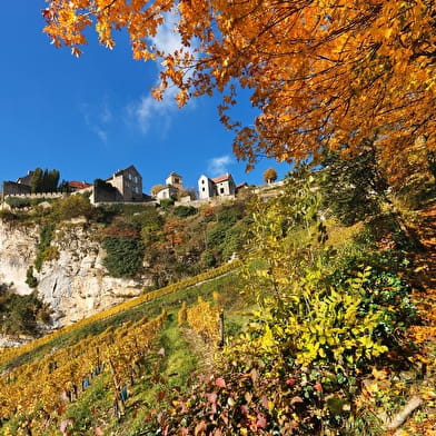 Le Vignoble du Château-Chalon