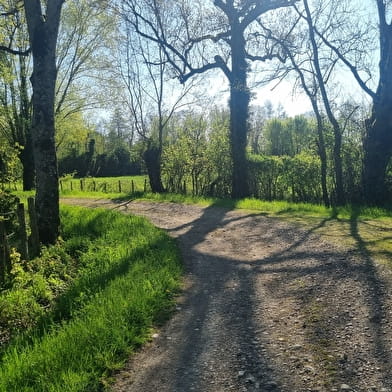 Liaison VTT-VTC (L2) - Lacs de La Plaine Tonique - Plan d'eau de Mépillat
