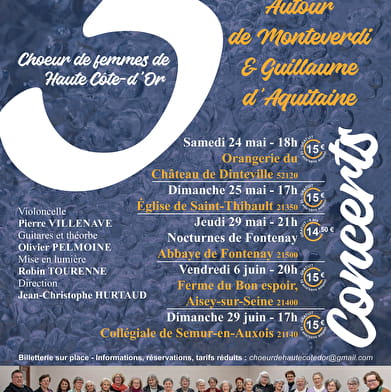 Concert 'Les trois éléments' à Semur