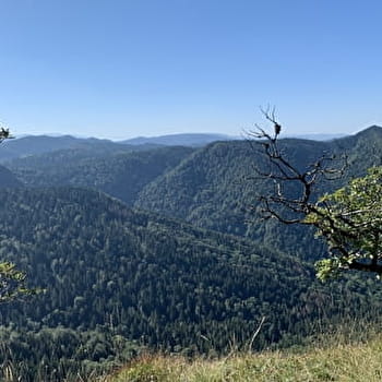 Randonnée - Le grand tour du plateau de Chamoise - SAINT-MARTIN-DU-FRENE
