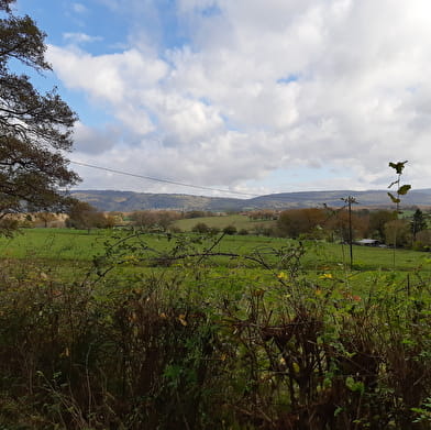 Randonnée - Bois de Fougemagne & Vallées Solnan-Sevron