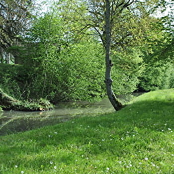 Le chemin des trois moulins - NARCY