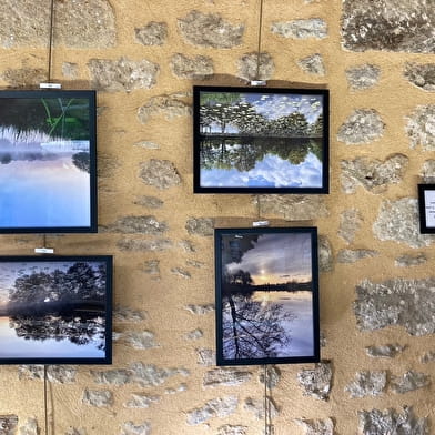 Il était un étang... Fouché