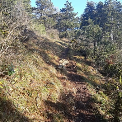 Randonnée - Treffort et le belvédère du Mont de Grillerin