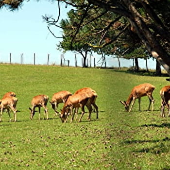 Le Ranch - HERICOURT