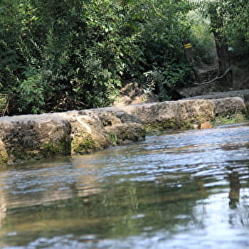 Côte de Thioles, Menhir et gués - SIMANDRE-SUR-SURAN