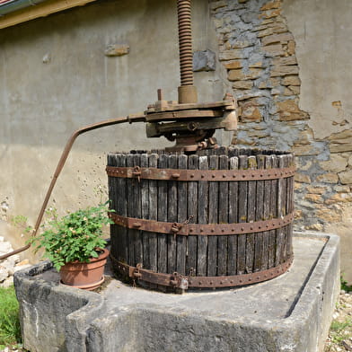 Sentier 'Ménestruel - Leymiat' à Poncin