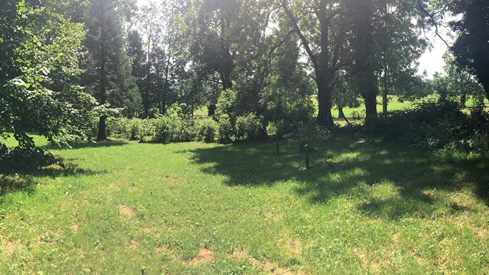 Le long de la crête du Chatelard