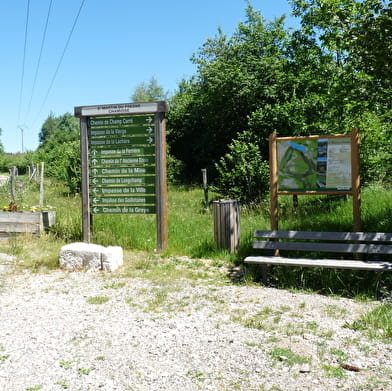 Randonnée - De Chamoise aux Monts d'Ain