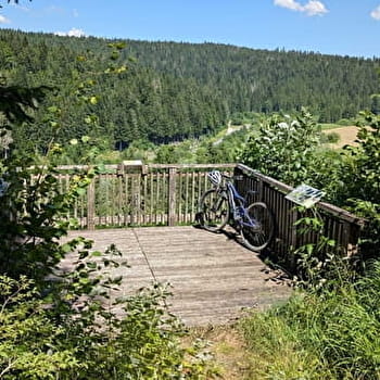 Taremberg - n°78 variante technique - VAUX-ET-CHANTEGRUE