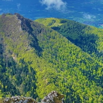 Randonnée pédestre : Le circuit des Scioux - CULOZ