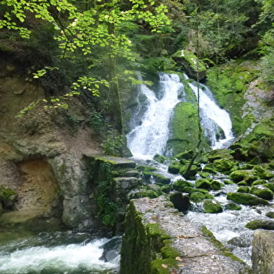 Promenade des Sources de l'Allondon