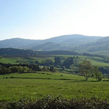 Circuit VTT M2 de St Bonnet à St Christophe - SAINT-BONNET-DES-BRUYERES