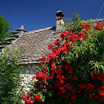 Circuit de randonnée pédestre : Tour de Nattages - PARVES ET NATTAGES