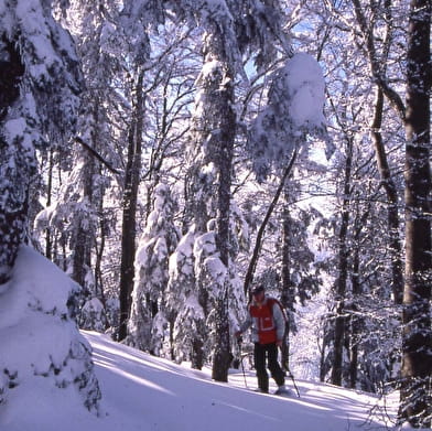 Itinéraire raquette 'Croix de Famban'
