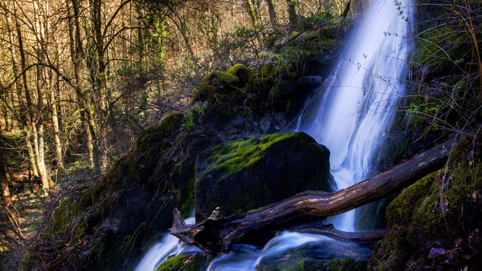 La cascade de Brisecou