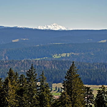 Saint-Sorlin - LES PONTETS