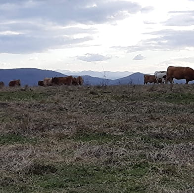 Randonnée - La frontière revermontoise