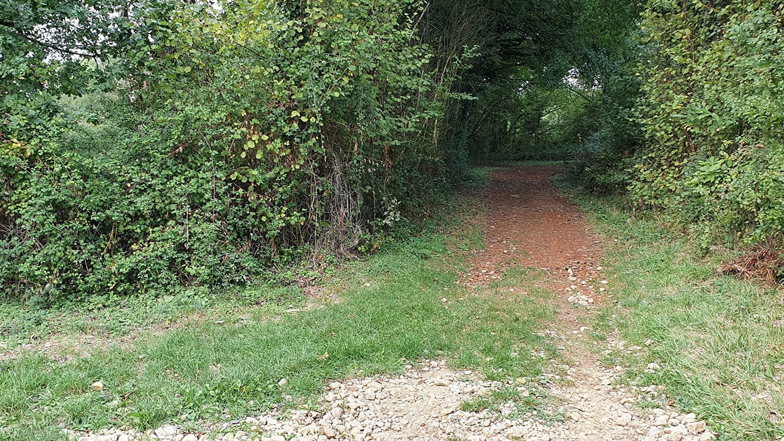 Randonnée - Revonnas, Brame Chèvre et la montagne Noire