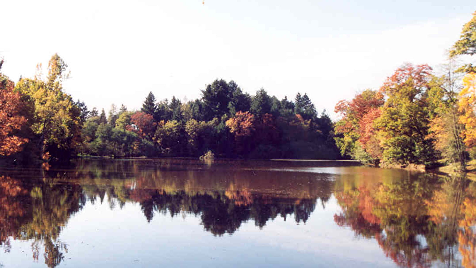 Contrefort du Charollais - DL02