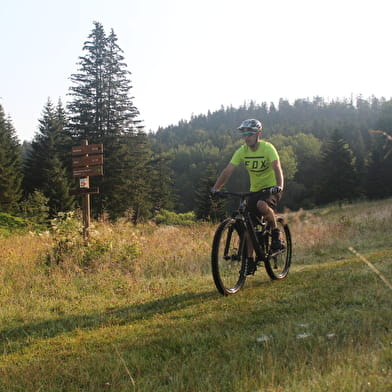 Parcours VTT 62 vert - Le Liaz d'Amont - Espace FFC Ain Forestière