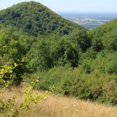 Château de Montfort, éperon barré celte ou site médiéval