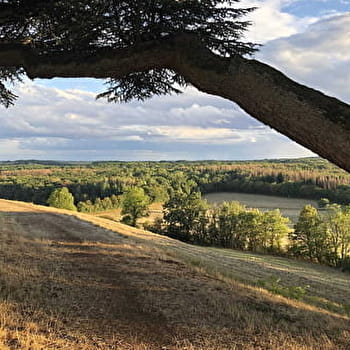 Randonnée au Château de Dumphlun - BILLY-CHEVANNES