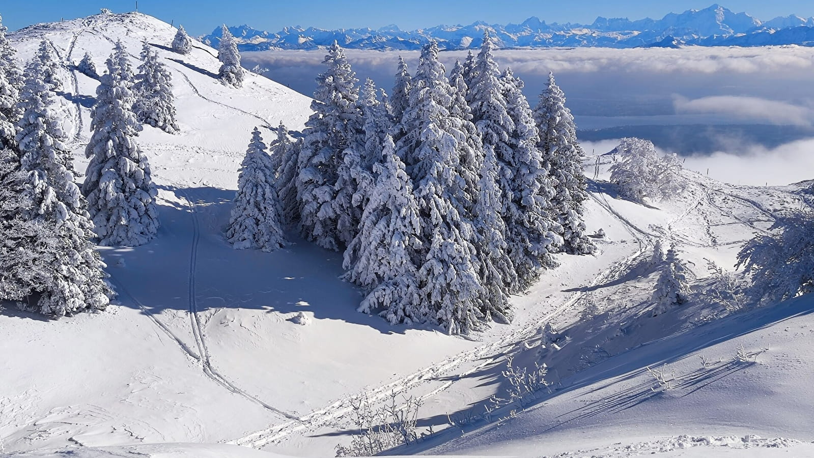 Sentier raquettes Les Montronds