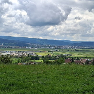 La Côte du Fol - n°106