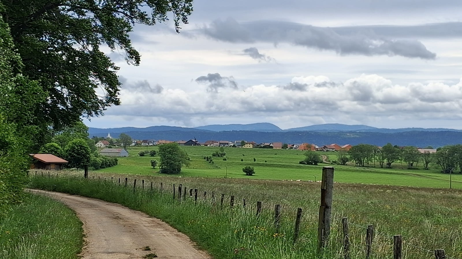 Le Grand-Bois - n°111