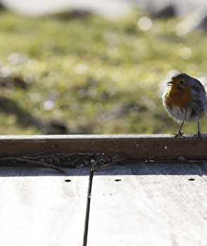 Circuit VTT n°118 / Boussières - Boussières