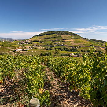 Circuit Brouilly - ODENAS