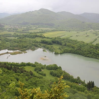 Eglise de St Maurice d'Echazeaux - Ruines de Mt-Didier