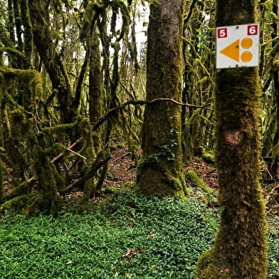 Parcours gravel rouge - Les Enfants du Marais - Espace FFC Ain Forestière