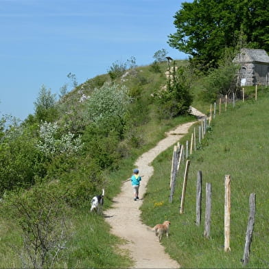 Roche de Hautepierre